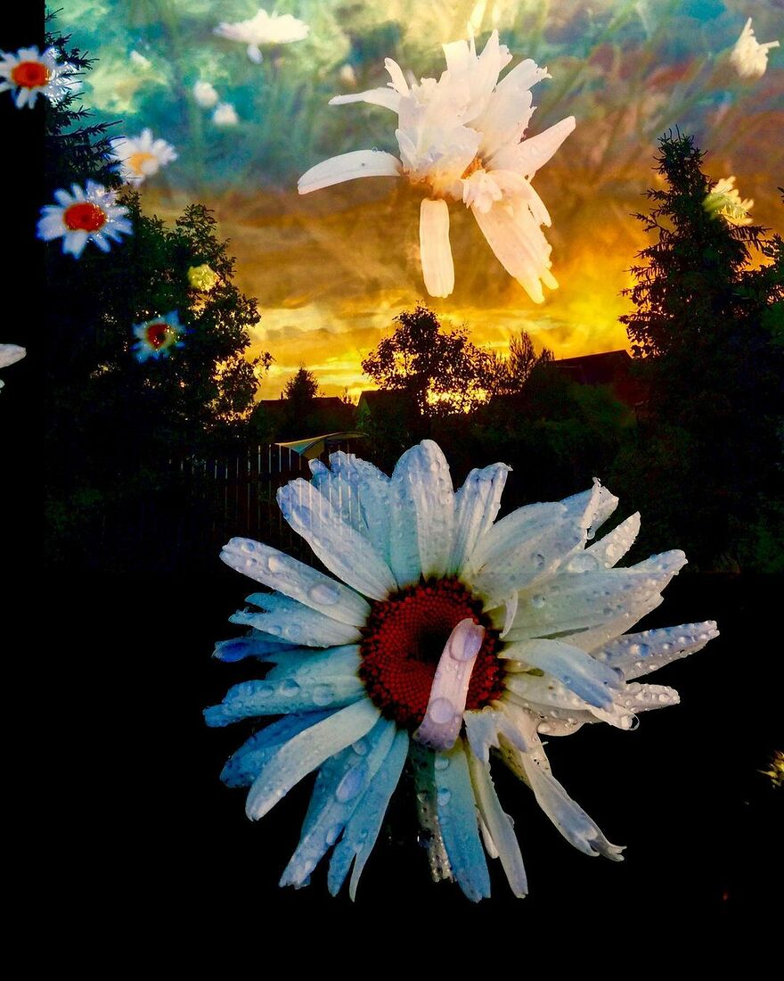 Elena Nesmeyanova. Transfiguration. Village. Untitled