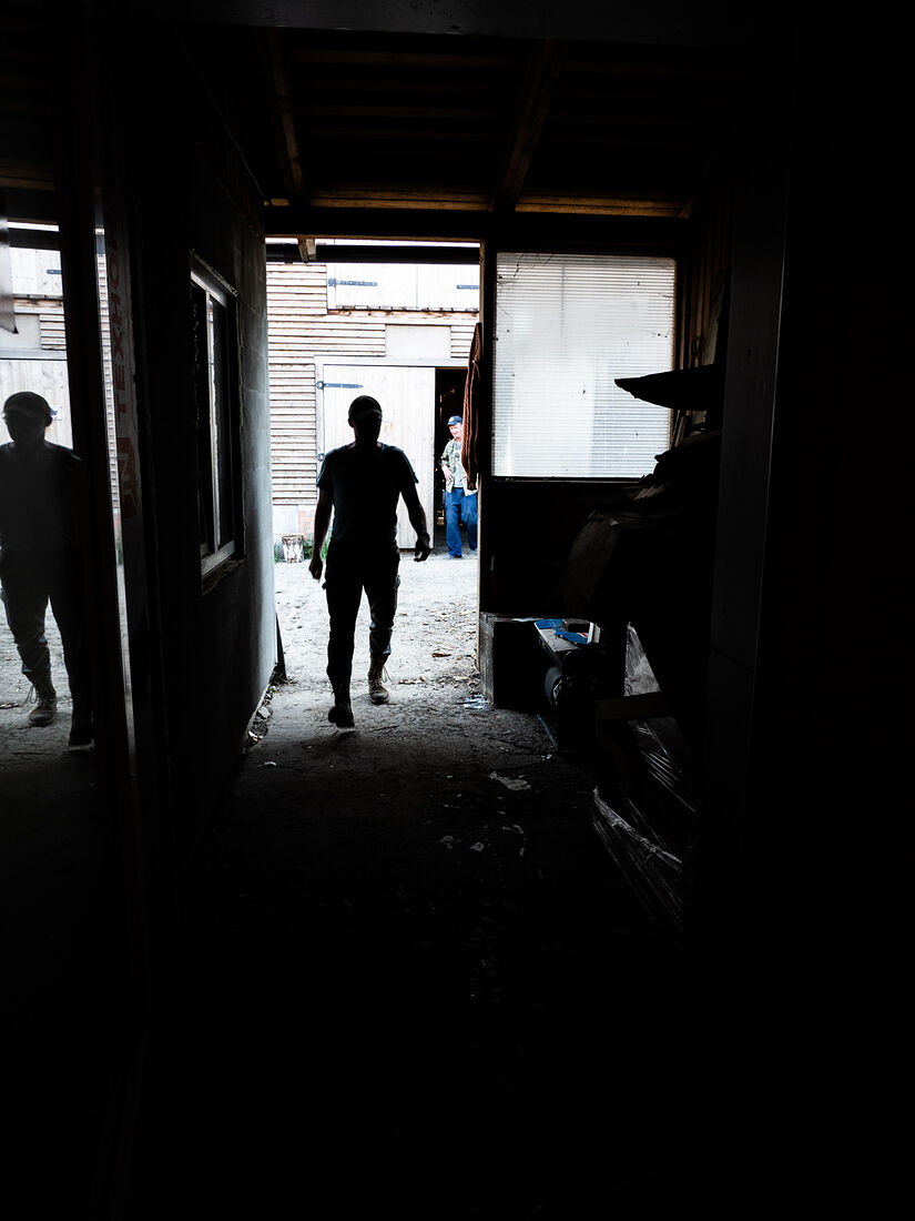 OLYMPUS DIGITAL CAMERA