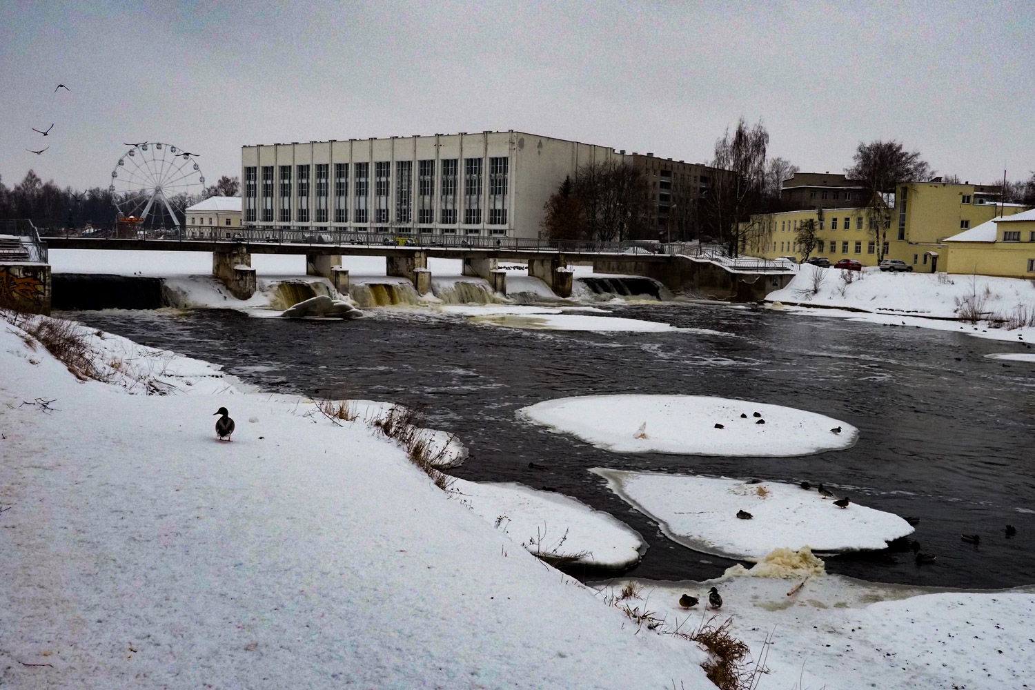 OLYMPUS DIGITAL CAMERA